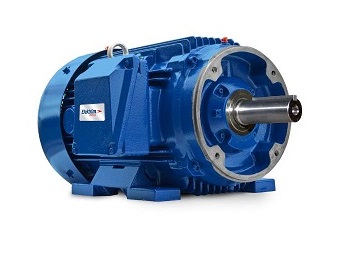 Severe Duty Motors NEMA